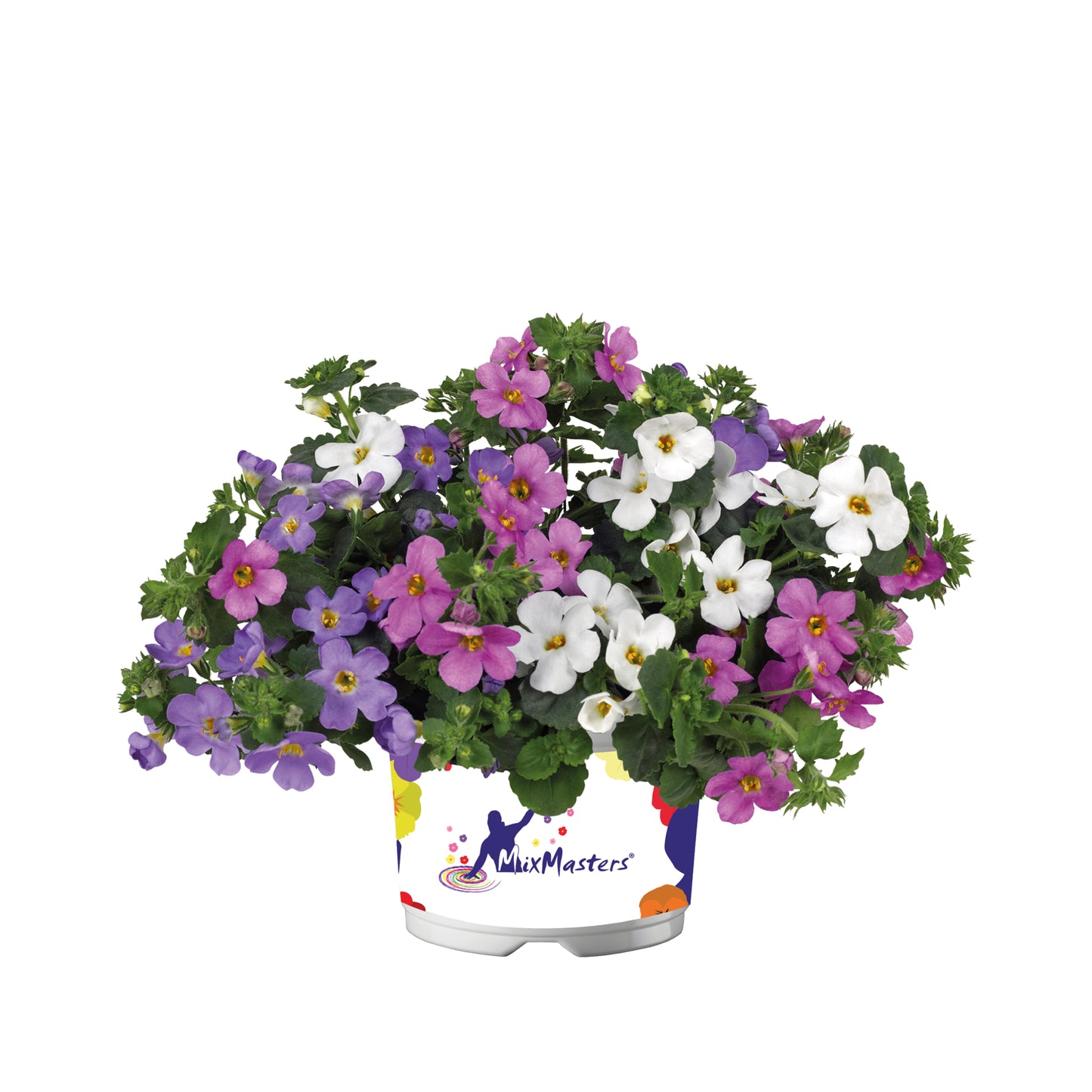 Bacopa MixMaster
