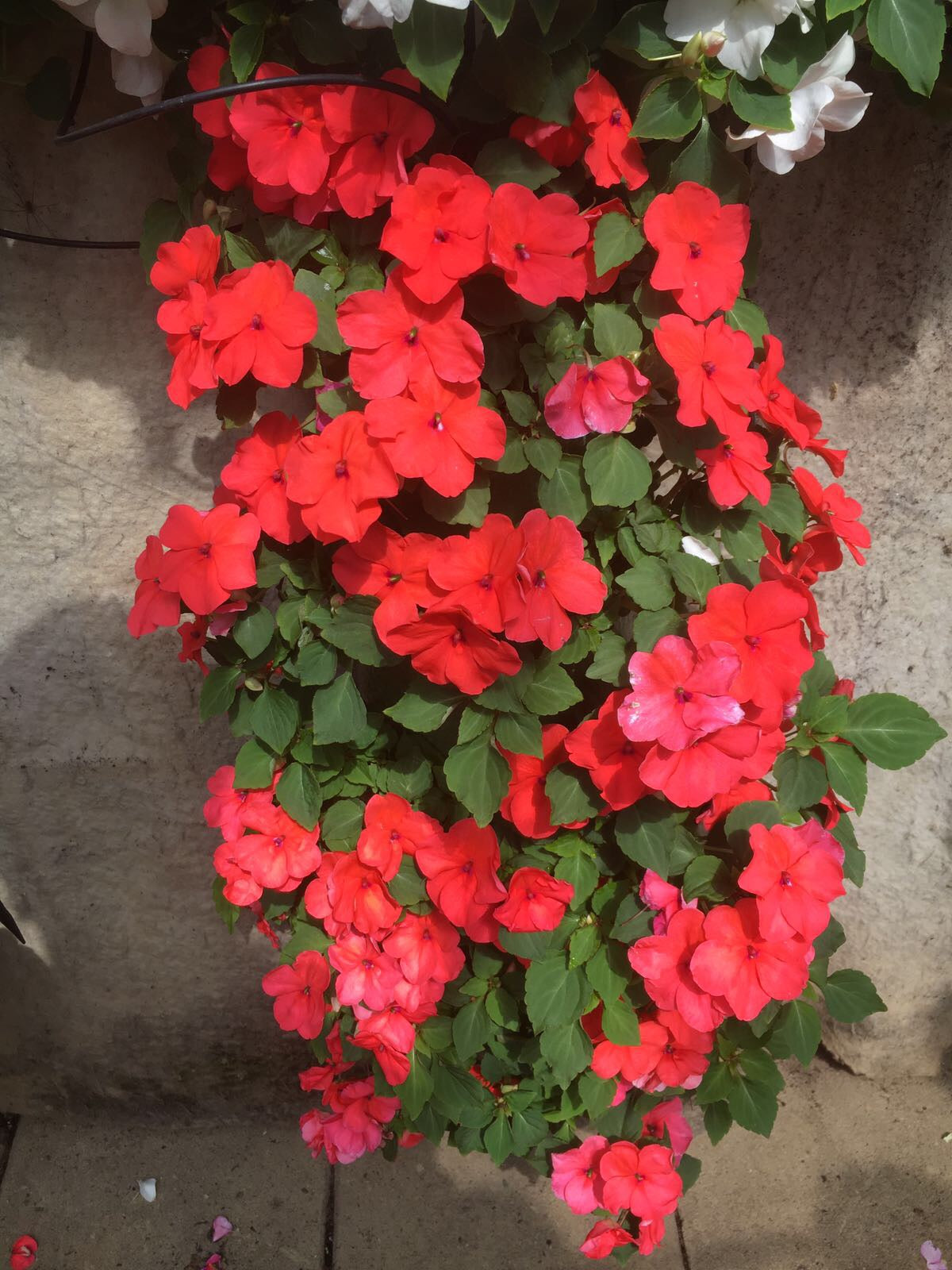Flowerbag