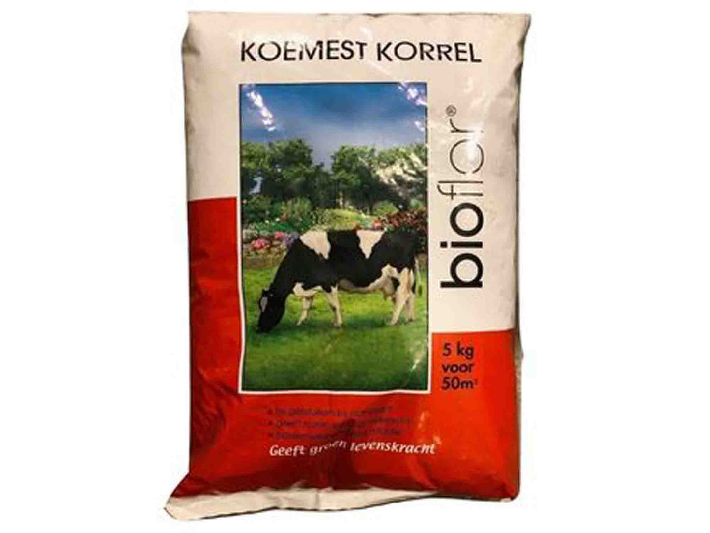 Koemest korrel