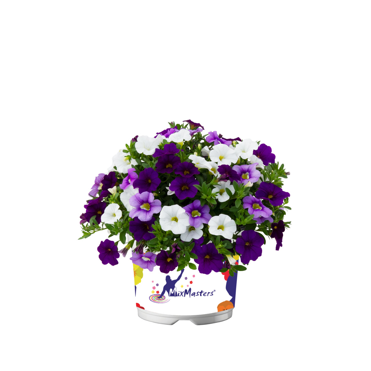 Calibrachoa Mixmaster (mini-petunia)