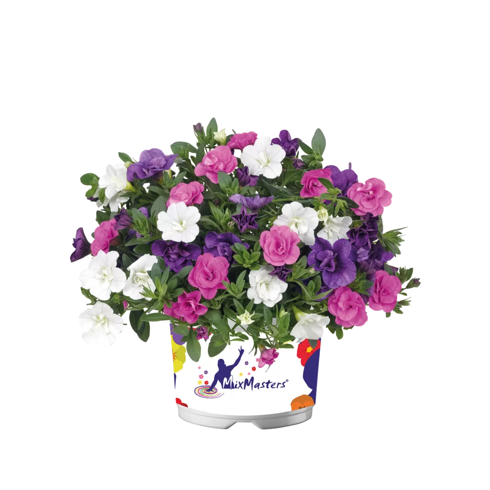Flowerbag Premium