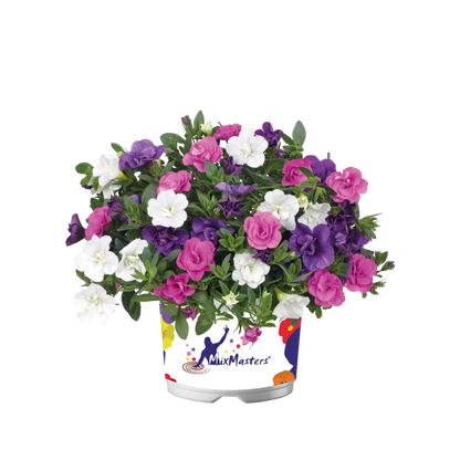 Flowerbag Premium
