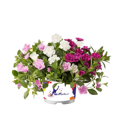 Flowerbag Premium
