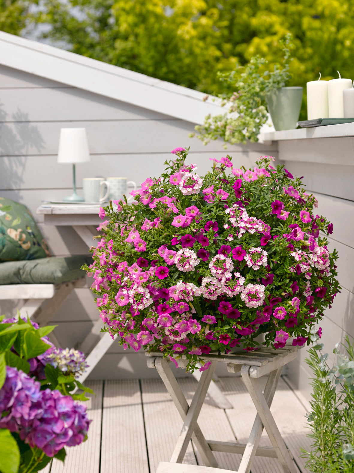 Multi Specie Baby Blush (kleurmix)