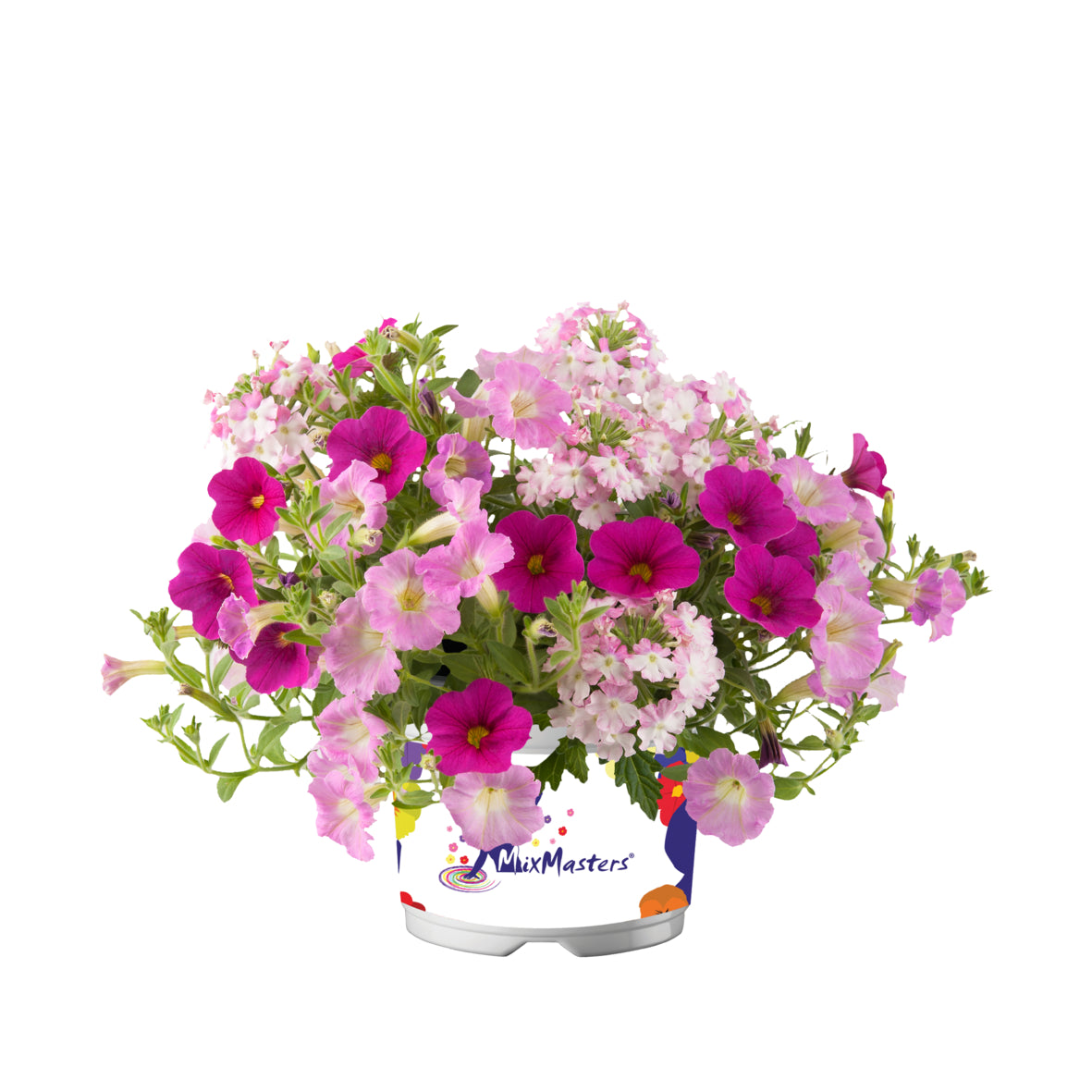 Multi Specie Baby Blush (kleurmix)