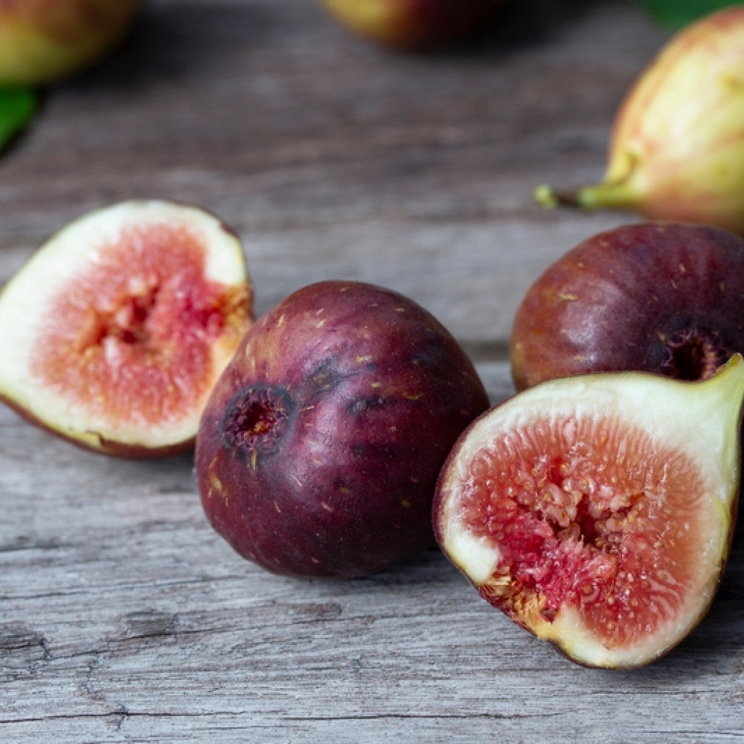 Vijg (Ficus carica) 'Brown Turkey'