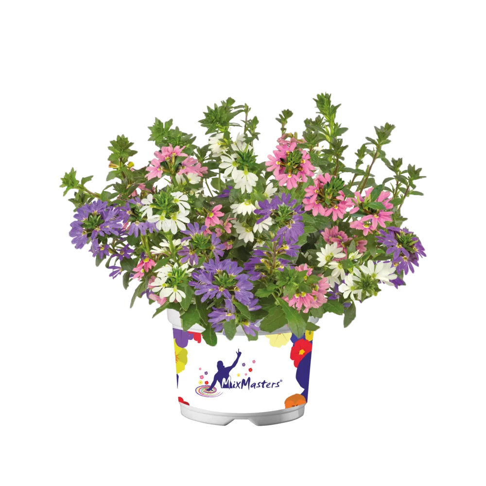 Flowerbag Premium
