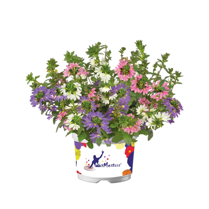Flowerbag Premium