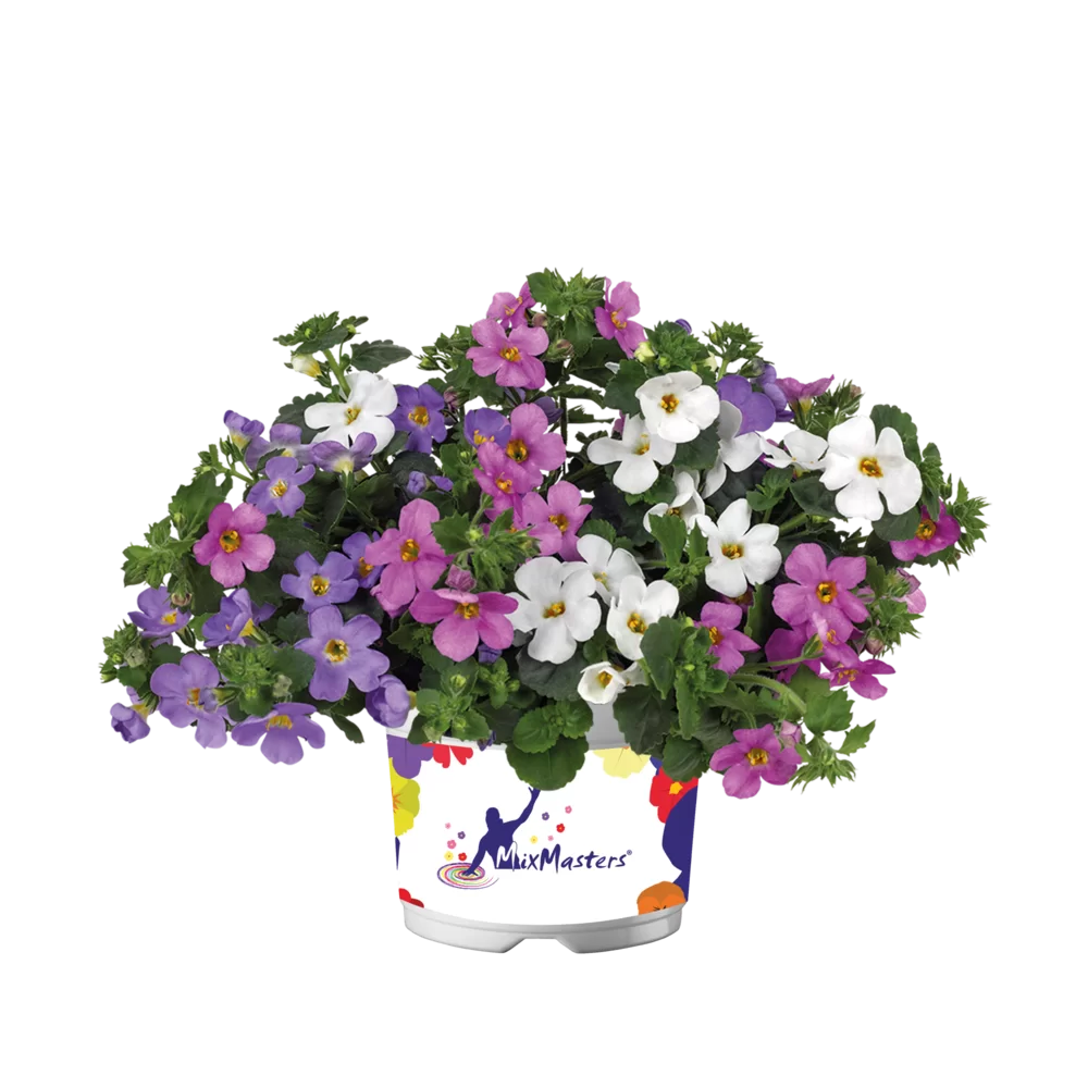 Flowerbag Premium