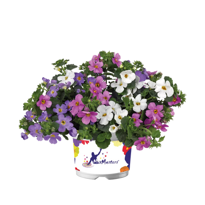 Flowerbag Premium
