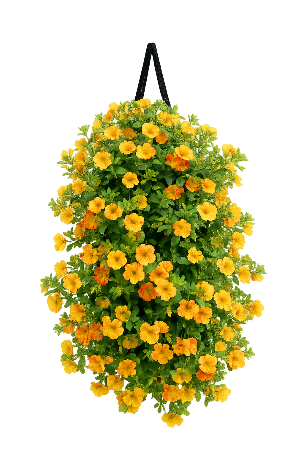 Flowerbag Premium