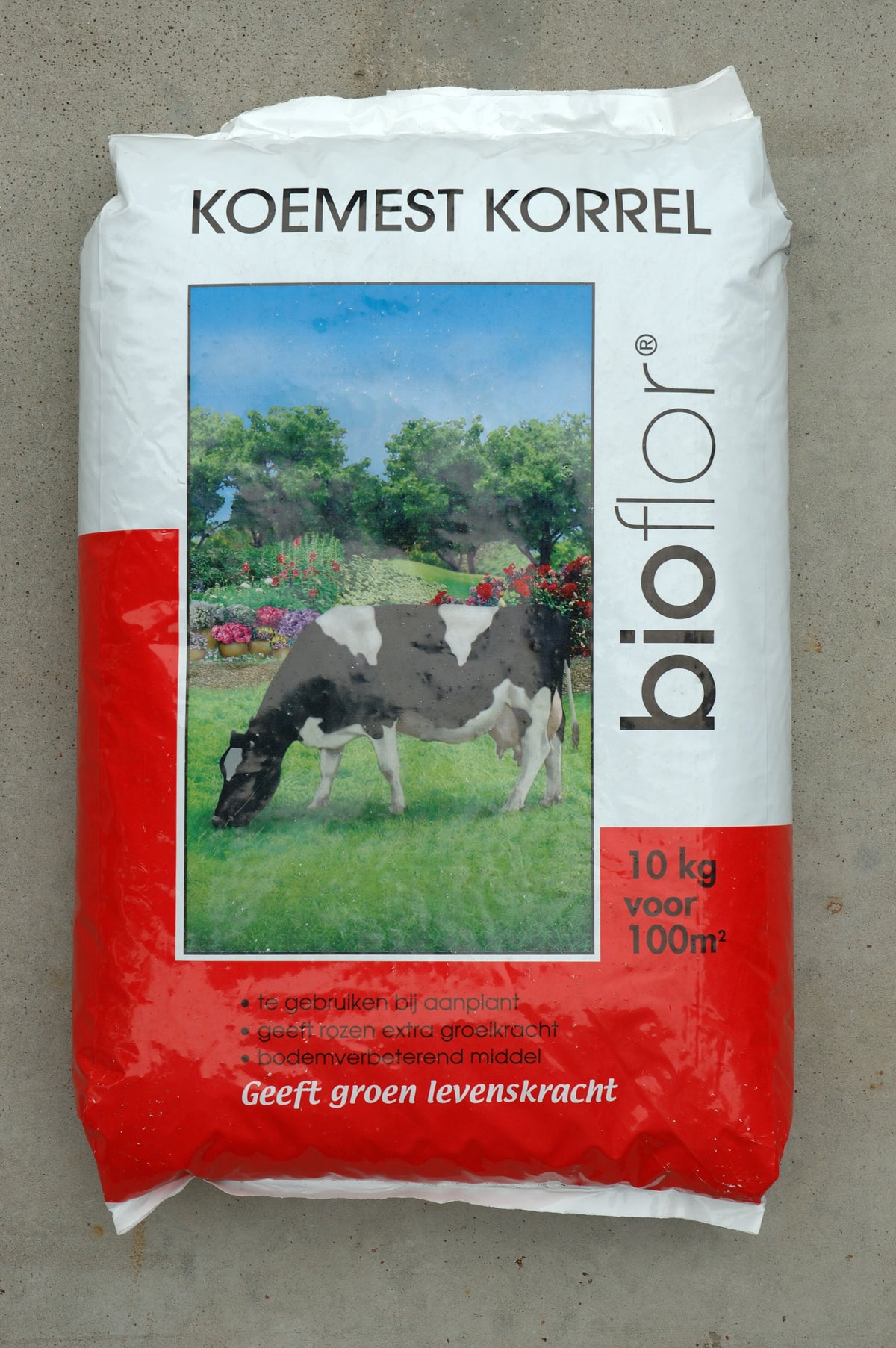 Koemest korrel