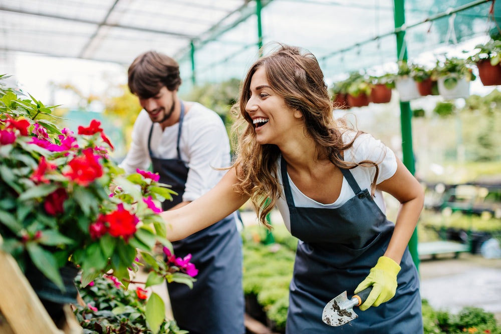 Sterke planten voor